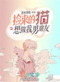 偷香高手精彩有哪些